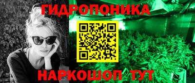 стаф Моздок