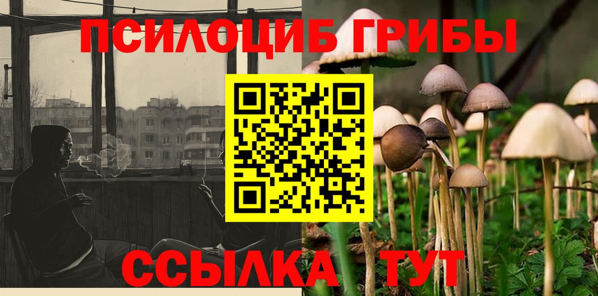 Галлюциногенные грибы мицелий Биробиджан